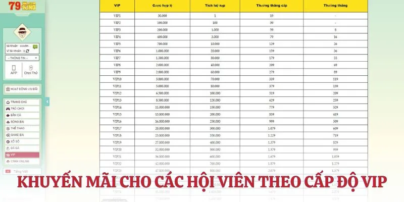 Khuyến mãi cho các hội viên theo cấp độ VIP