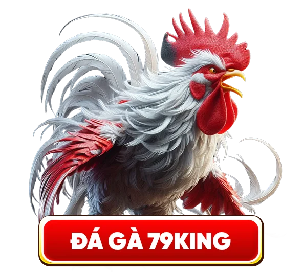 Đá gà 79king